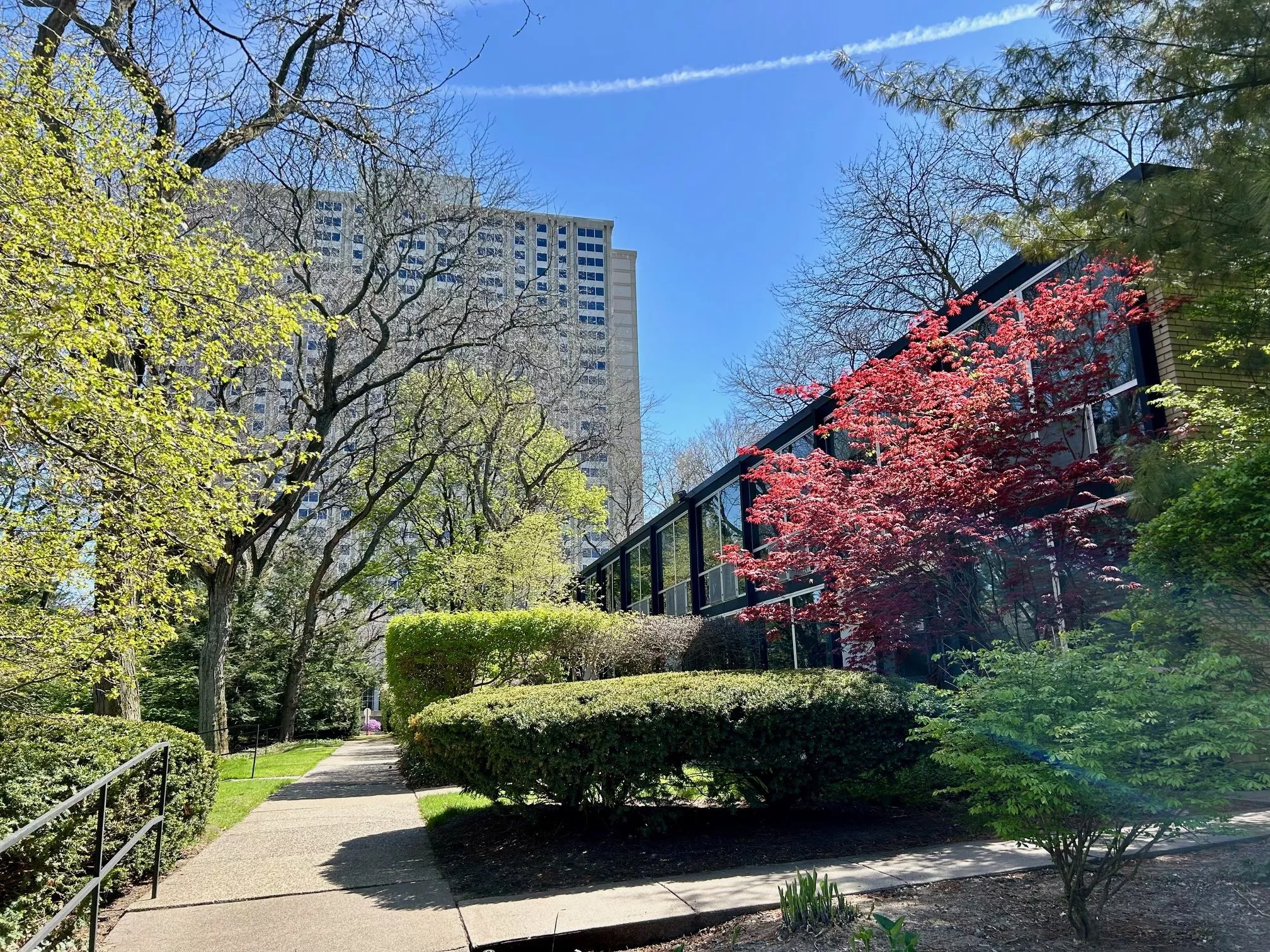 Judge rules Detroit Thermal cannot run steam lines across historic Lafayette Park