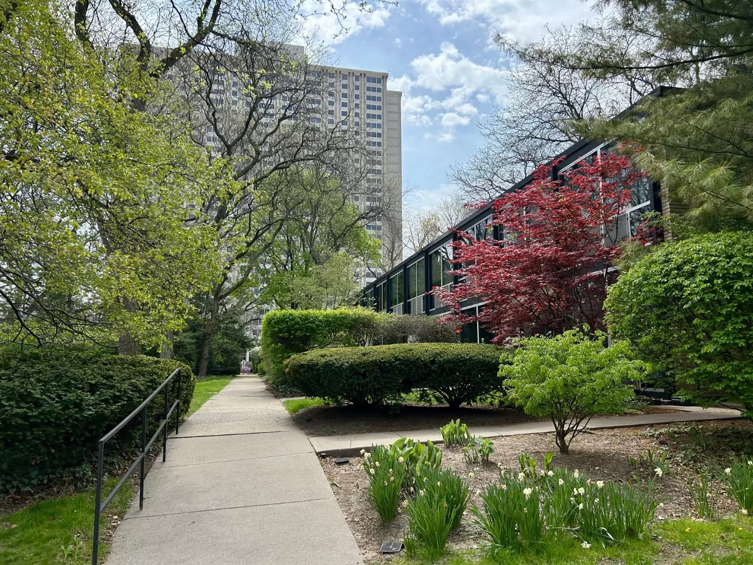 Detroit Thermal declares premature victory while historic Lafayette Park residents keep fighting